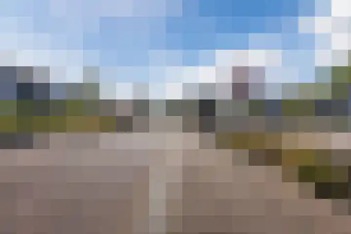 Pionier 15 Odiliapeel thumbnail 41