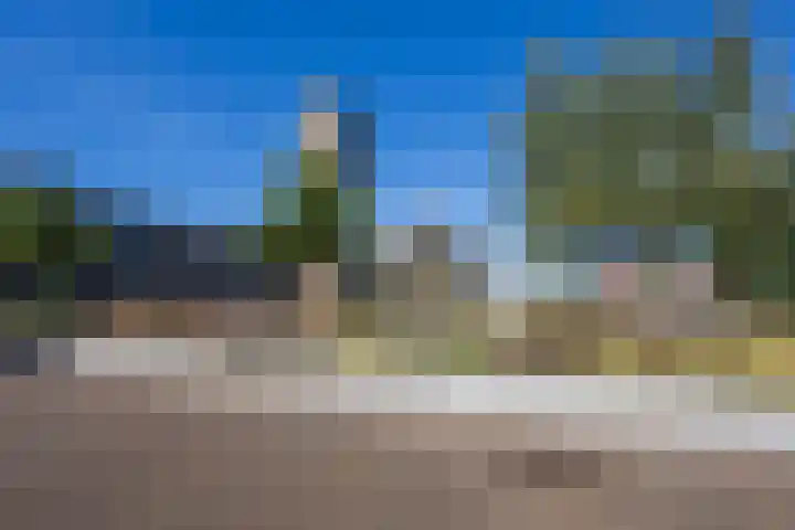 Pionier 15 Odiliapeel thumbnail 42