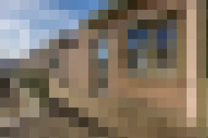 Pionier 15 Odiliapeel thumbnail 9