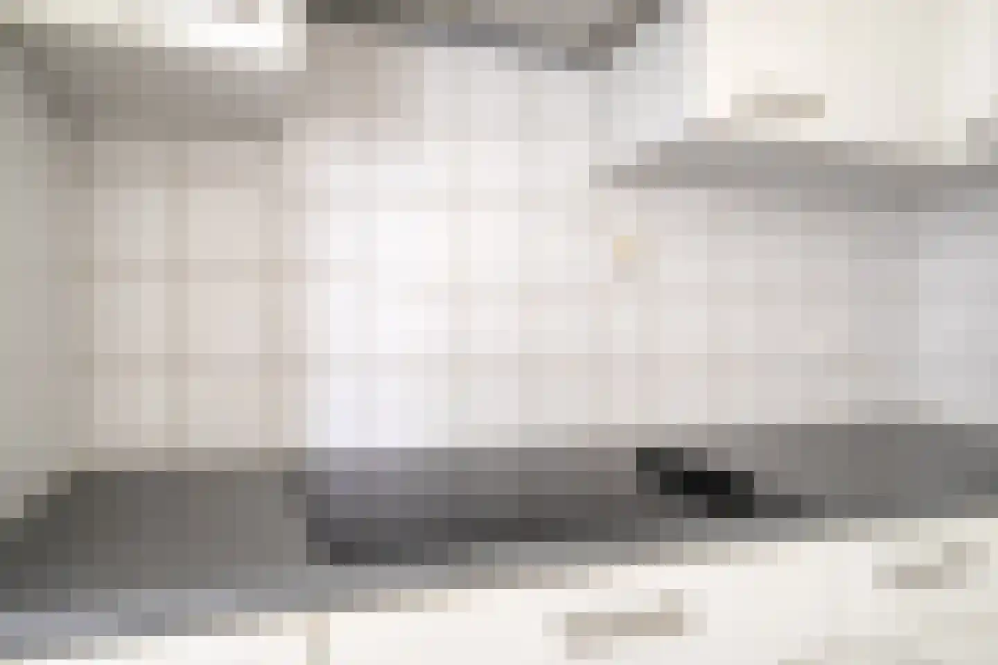 Pionier 3 Odiliapeel thumbnail 12