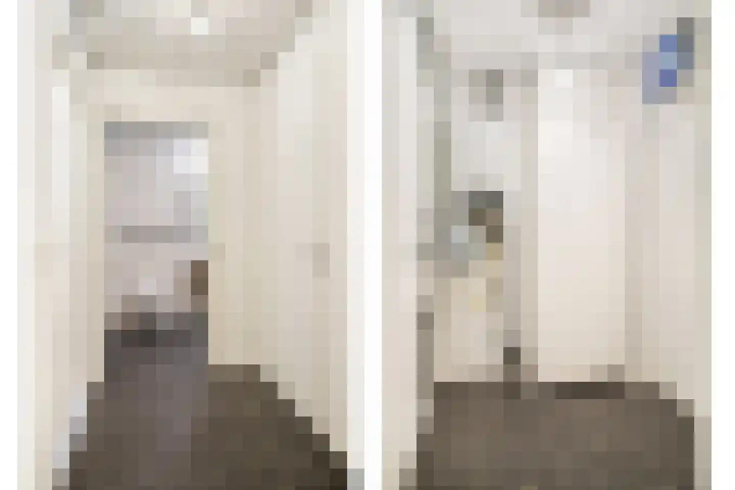 Pionier 3 Odiliapeel thumbnail 13