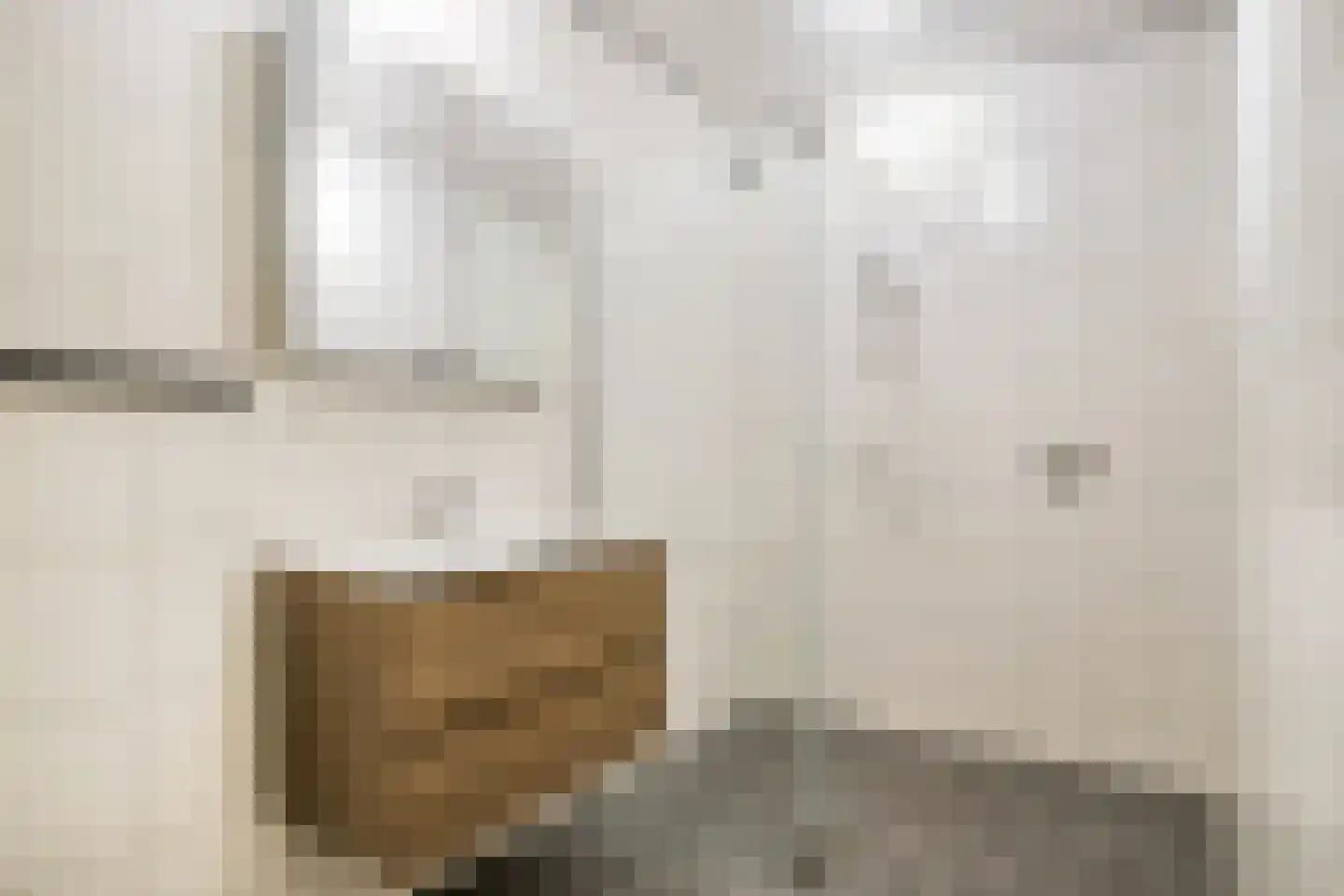 Pionier 3 Odiliapeel thumbnail 17