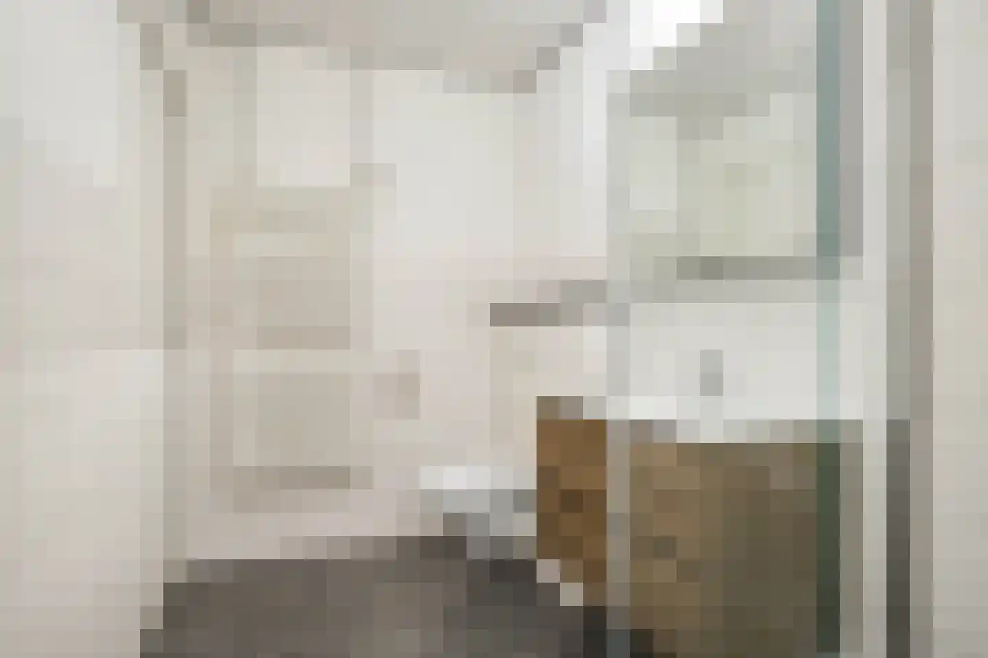 Pionier 3 Odiliapeel thumbnail 18