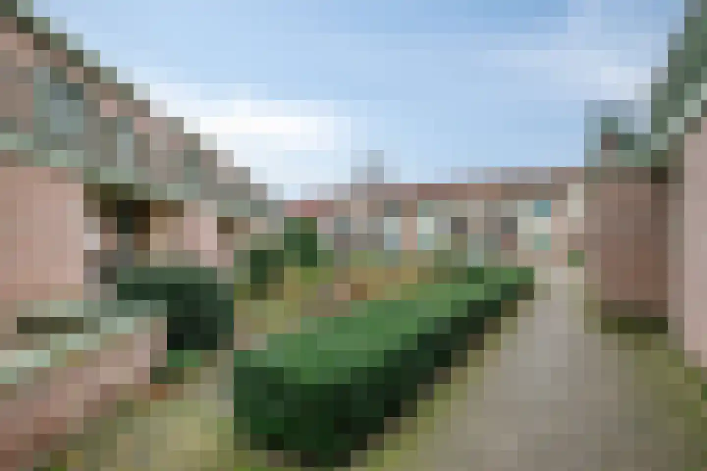 Pionier 3 Odiliapeel thumbnail 20
