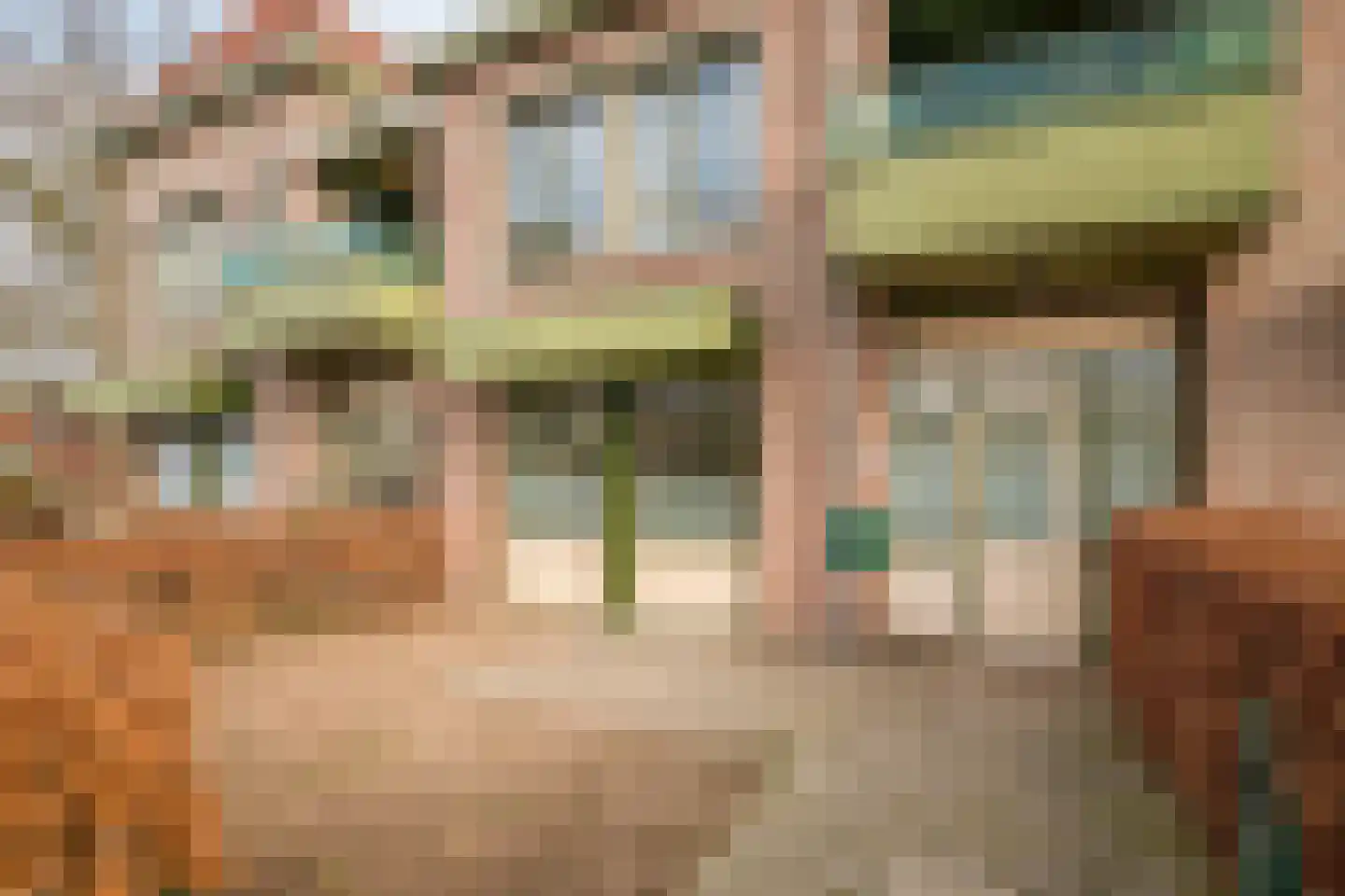 Pionier 3 Odiliapeel thumbnail 5