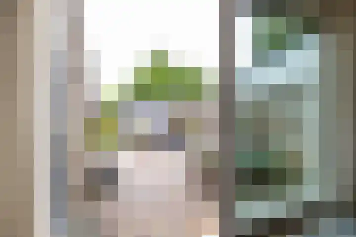 Pionier 6 Hoogezand thumbnail 14