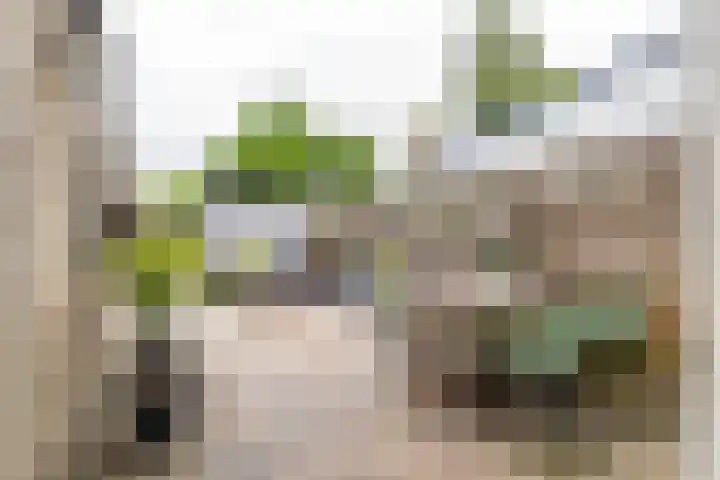 Pionier 6 Hoogezand thumbnail 15