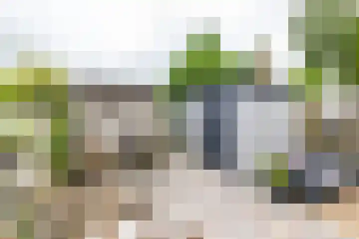 Pionier 6 Hoogezand thumbnail 18