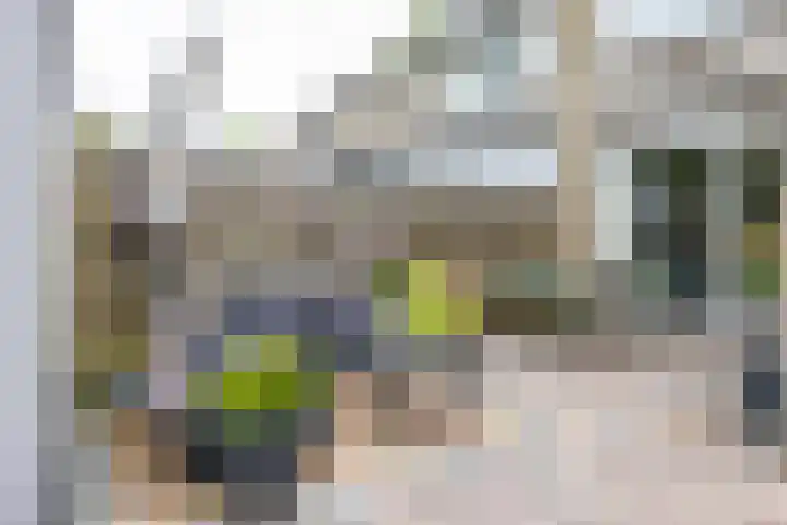 Pionier 6 Hoogezand thumbnail 21