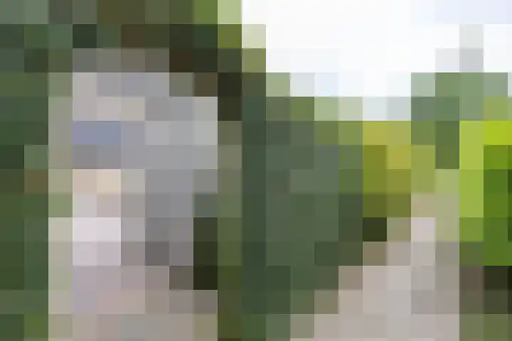 Pionier 6 Hoogezand thumbnail 22