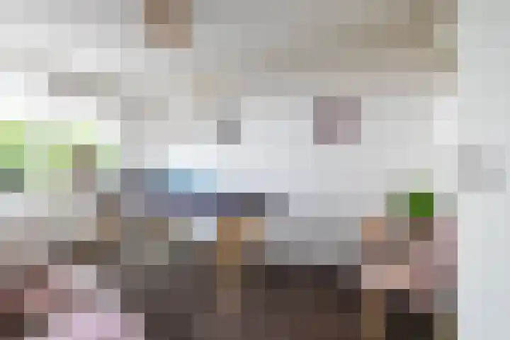 Pionier 6 Hoogezand thumbnail 24