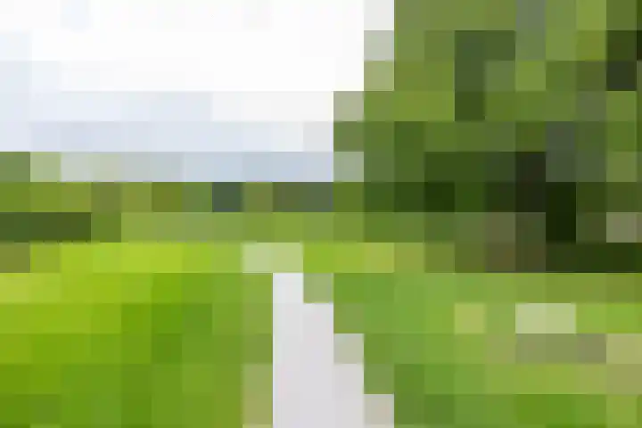 Pionier 6 Hoogezand thumbnail 40