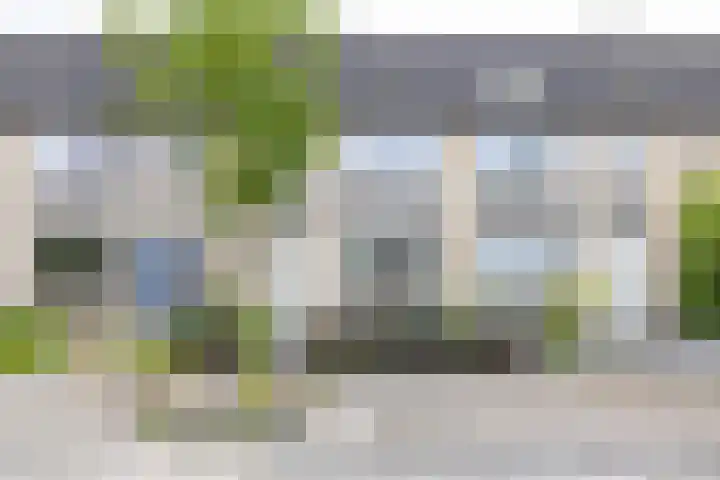 Pionier 6 Hoogezand thumbnail 41