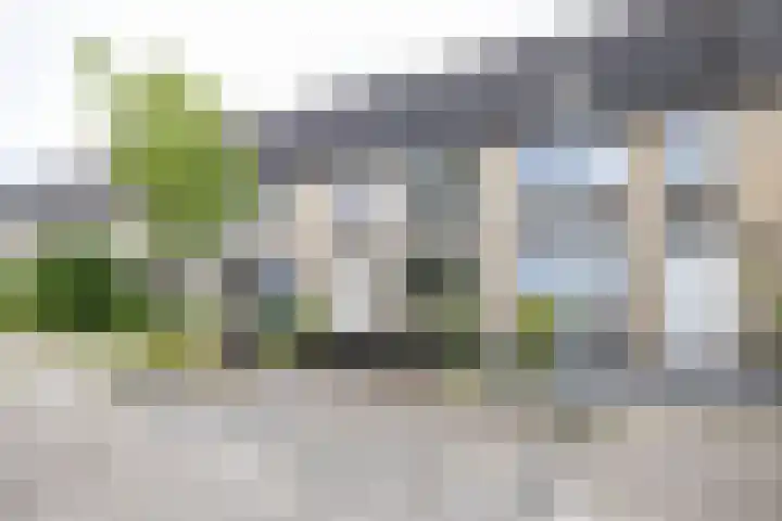 Pionier 6 Hoogezand thumbnail 42