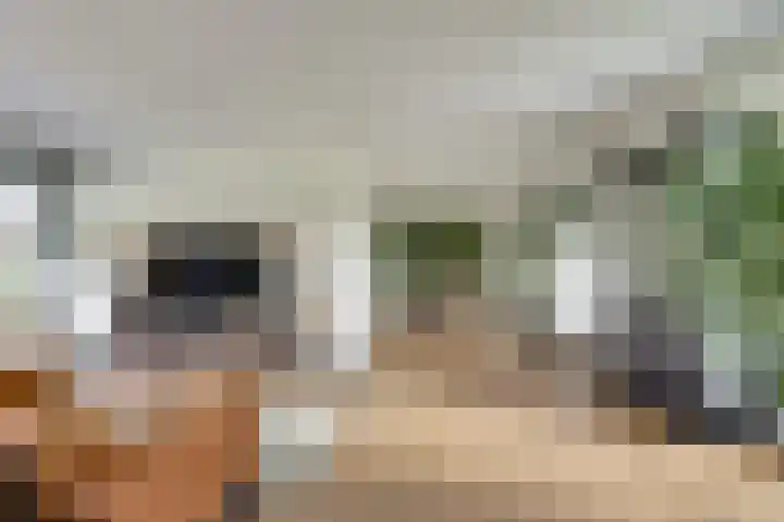 Pioniershoek 17 Slootdorp thumbnail 13