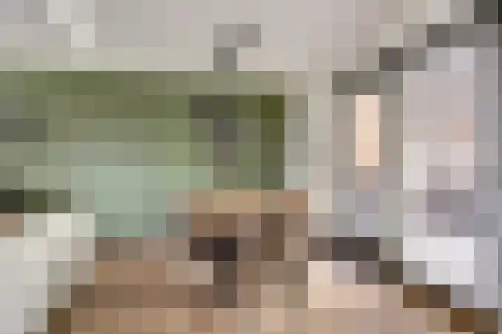 Pioniershoek 17 Slootdorp thumbnail 14