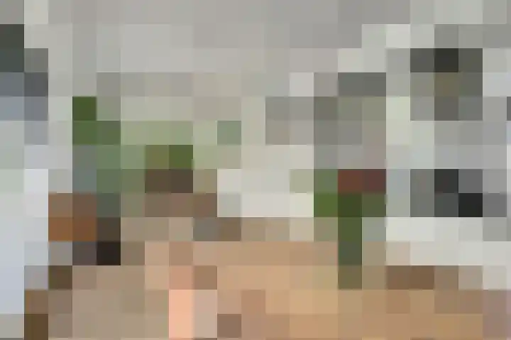 Pioniershoek 17 Slootdorp thumbnail 16