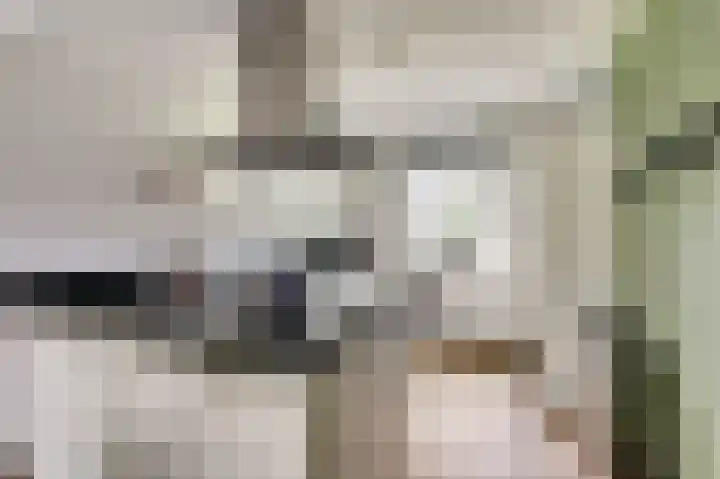Pioniershoek 17 Slootdorp thumbnail 17