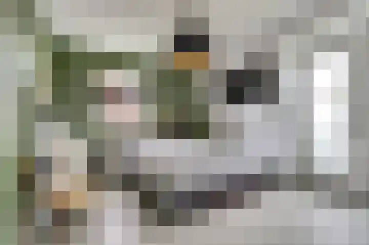 Pioniershoek 17 Slootdorp thumbnail 24
