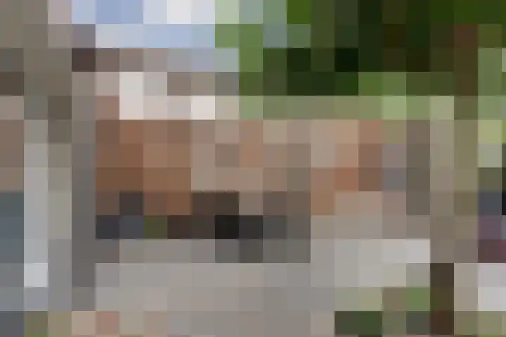 Pioniershoek 17 Slootdorp thumbnail 31