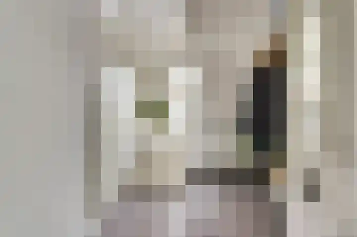 Pioniershoek 17 Slootdorp thumbnail 7