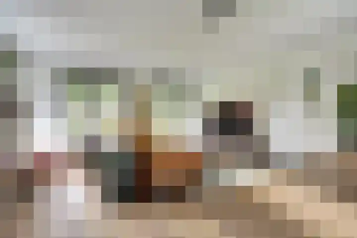 Pioniershoek 17 Slootdorp thumbnail 9