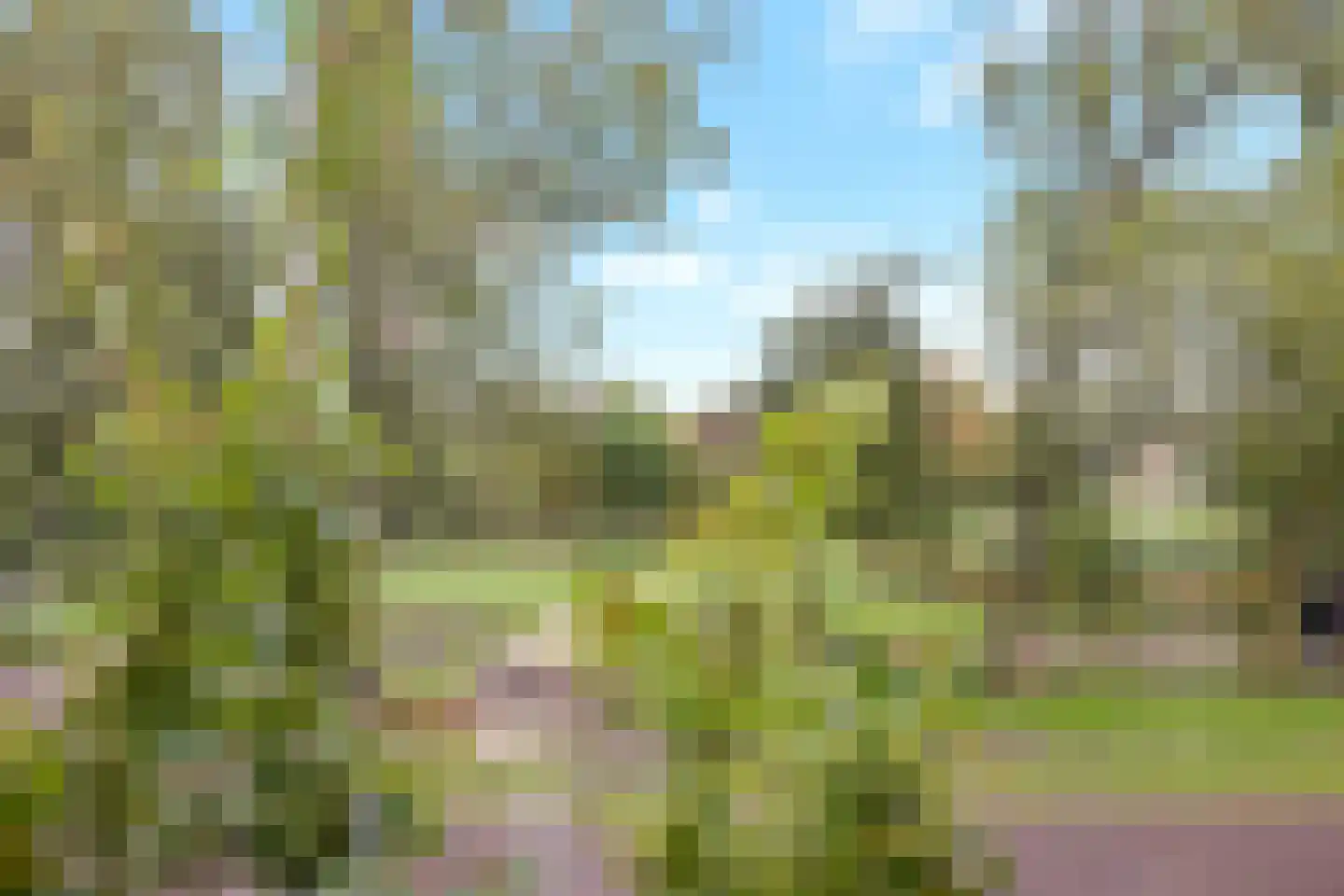 Pionierskruid 9 Anna Paulowna thumbnail 33