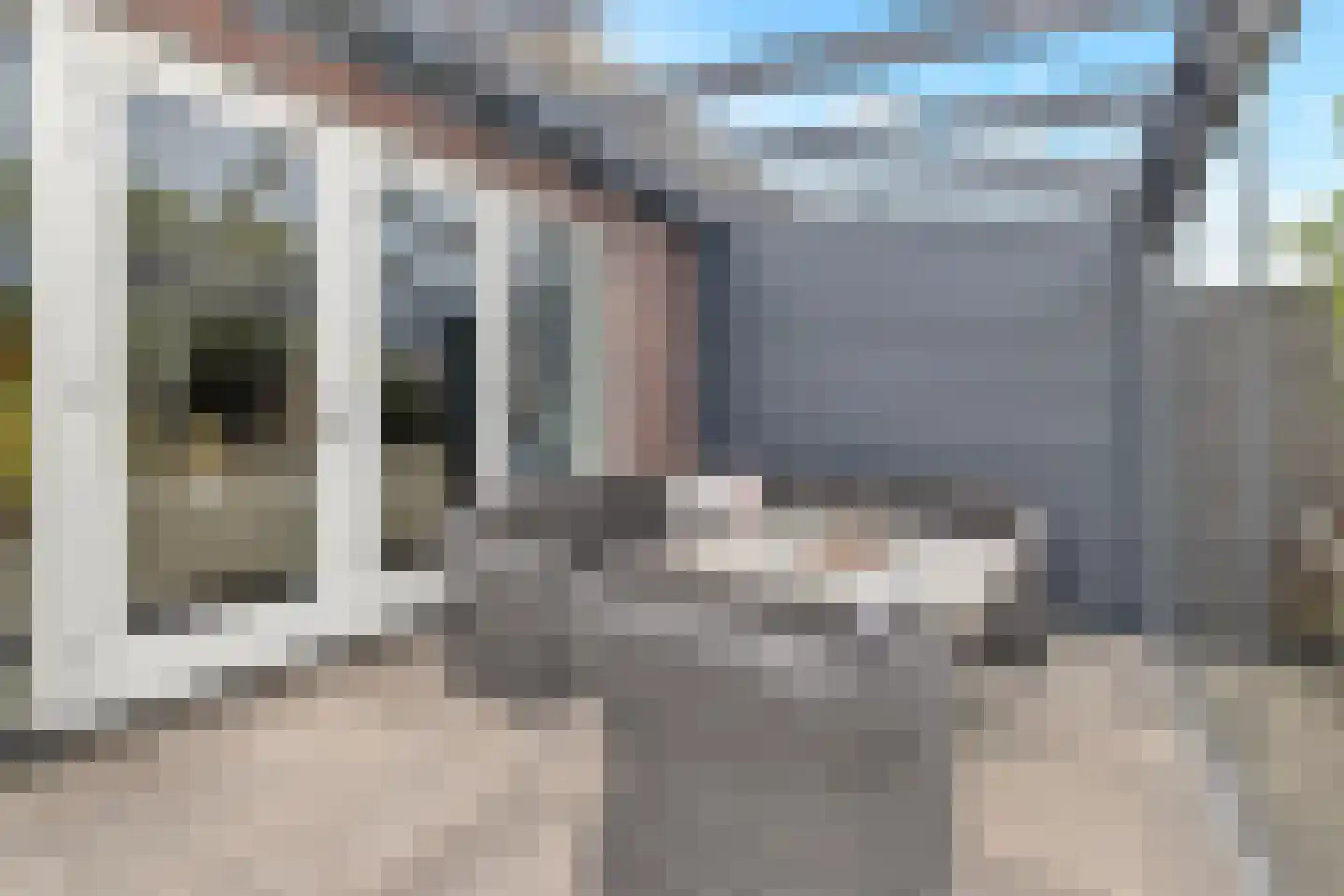 Pionierskruid 9 Anna Paulowna thumbnail 6