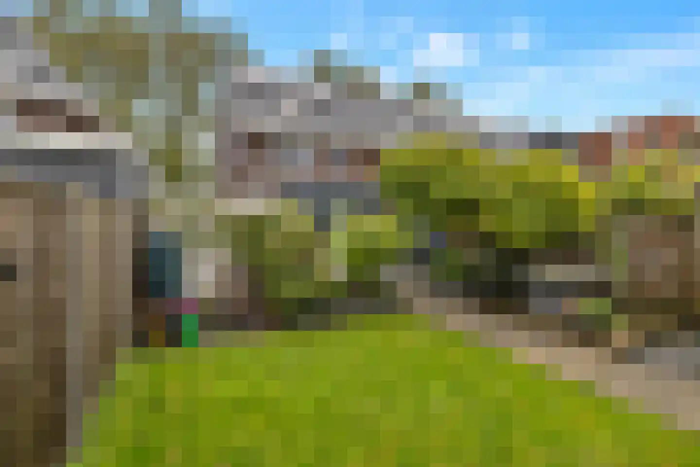 Pionierskruid 9 Anna Paulowna thumbnail 8