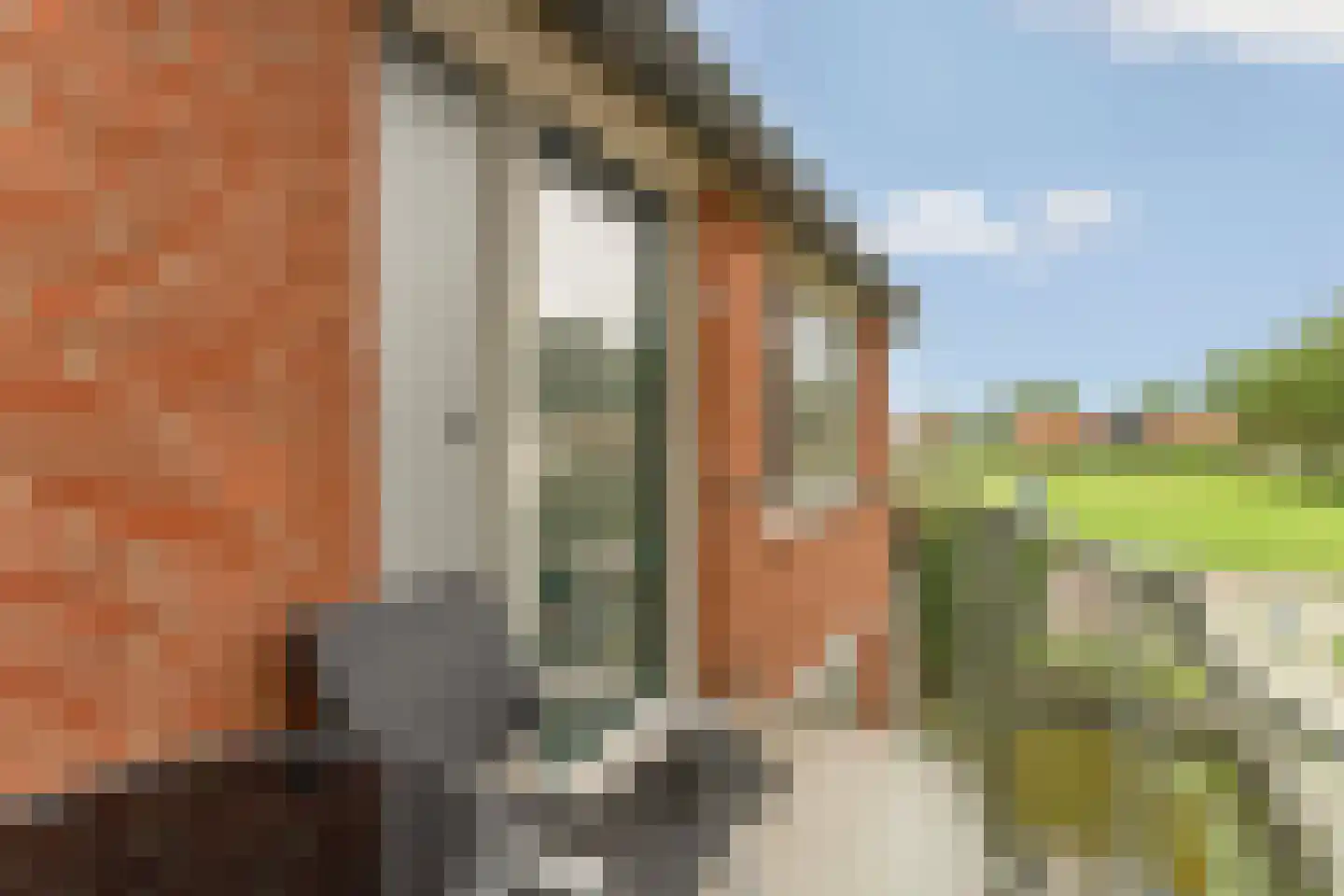 Pioniersstraat 54 Lelystad thumbnail 31