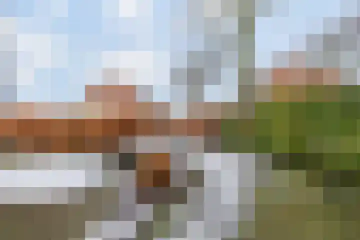 Pioniersstraat 71 Lelystad thumbnail 11