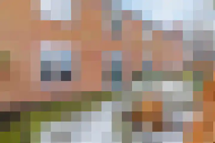 Pioniersstraat 71 Lelystad thumbnail 12