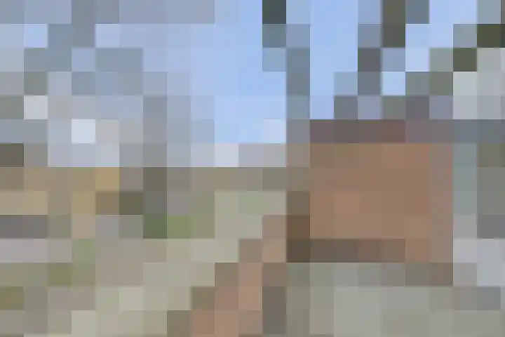 Pionstraat 1 A Utrecht thumbnail 34