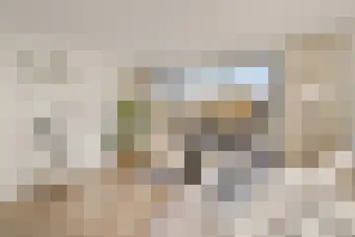 Pionstraat 18 Utrecht thumbnail 10