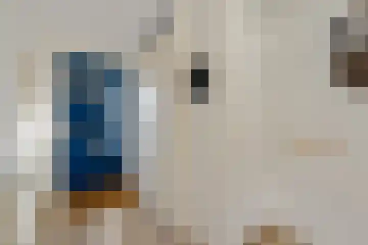 Pionstraat 18 Utrecht thumbnail 8