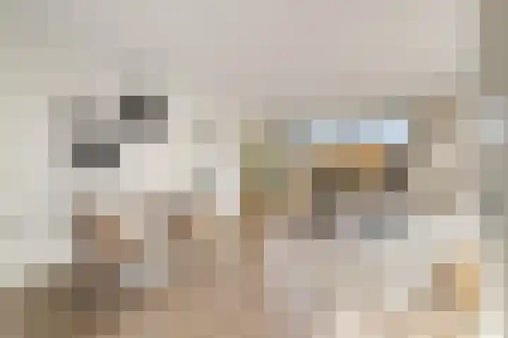 Pionstraat 18 Utrecht thumbnail 9