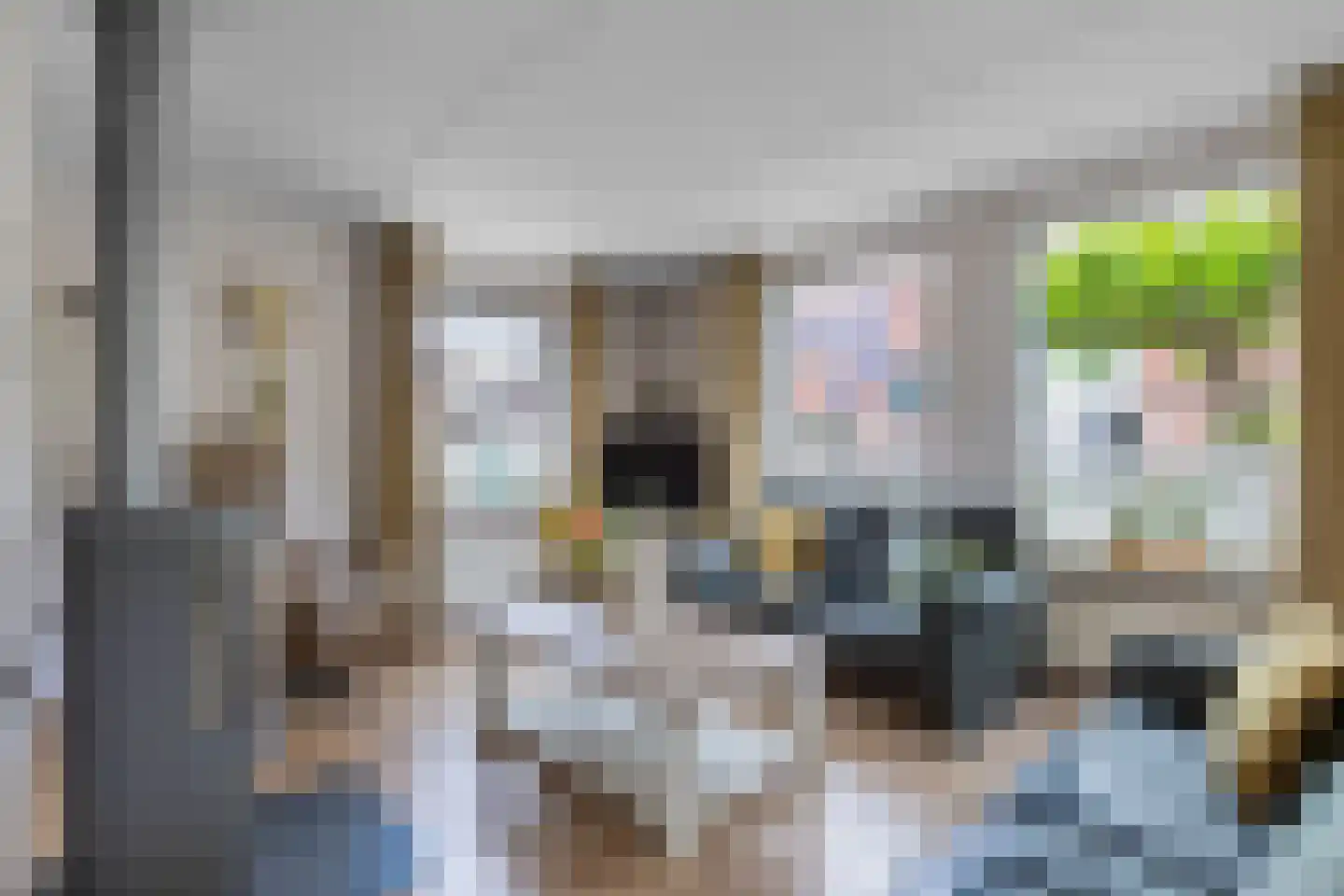 Pipegaal 5 Wommels thumbnail 12