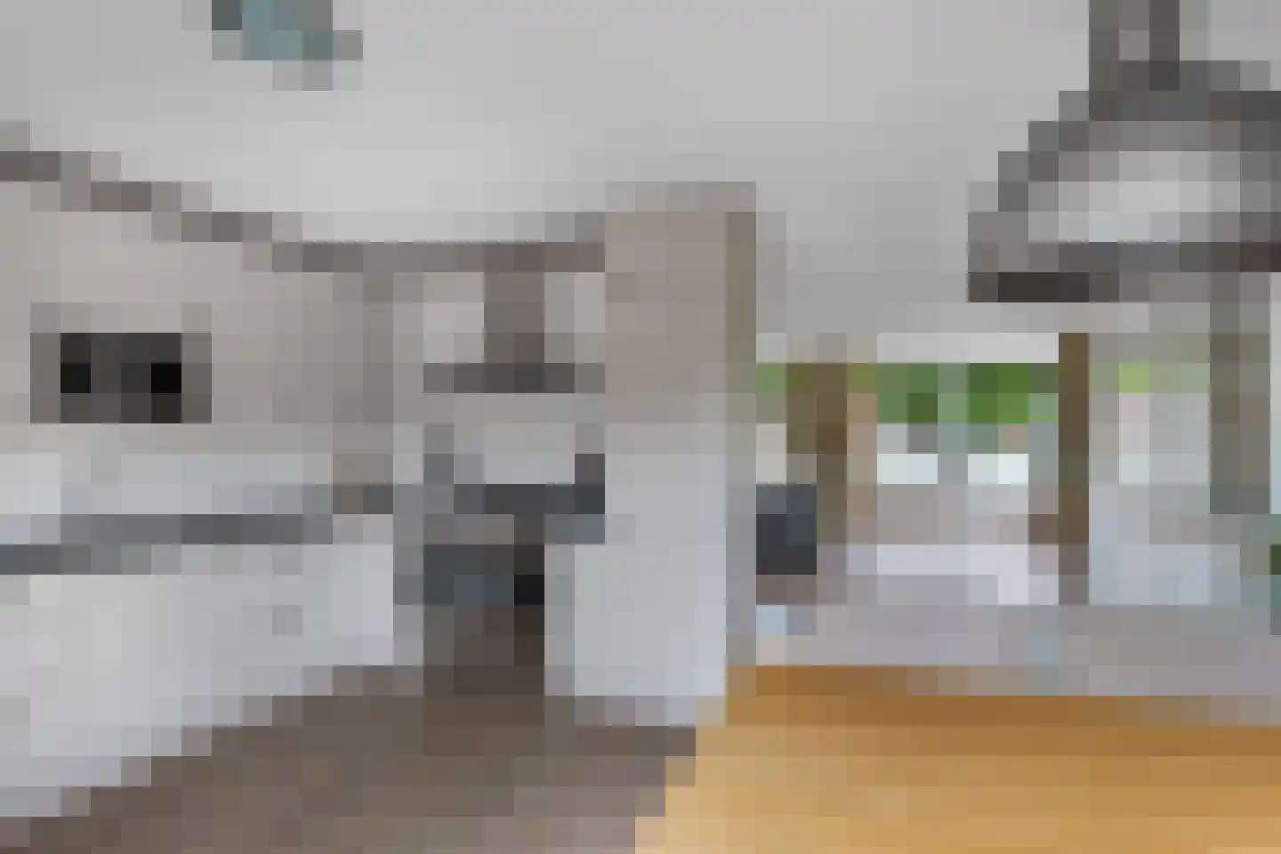 Pipegaal 5 Wommels thumbnail 18