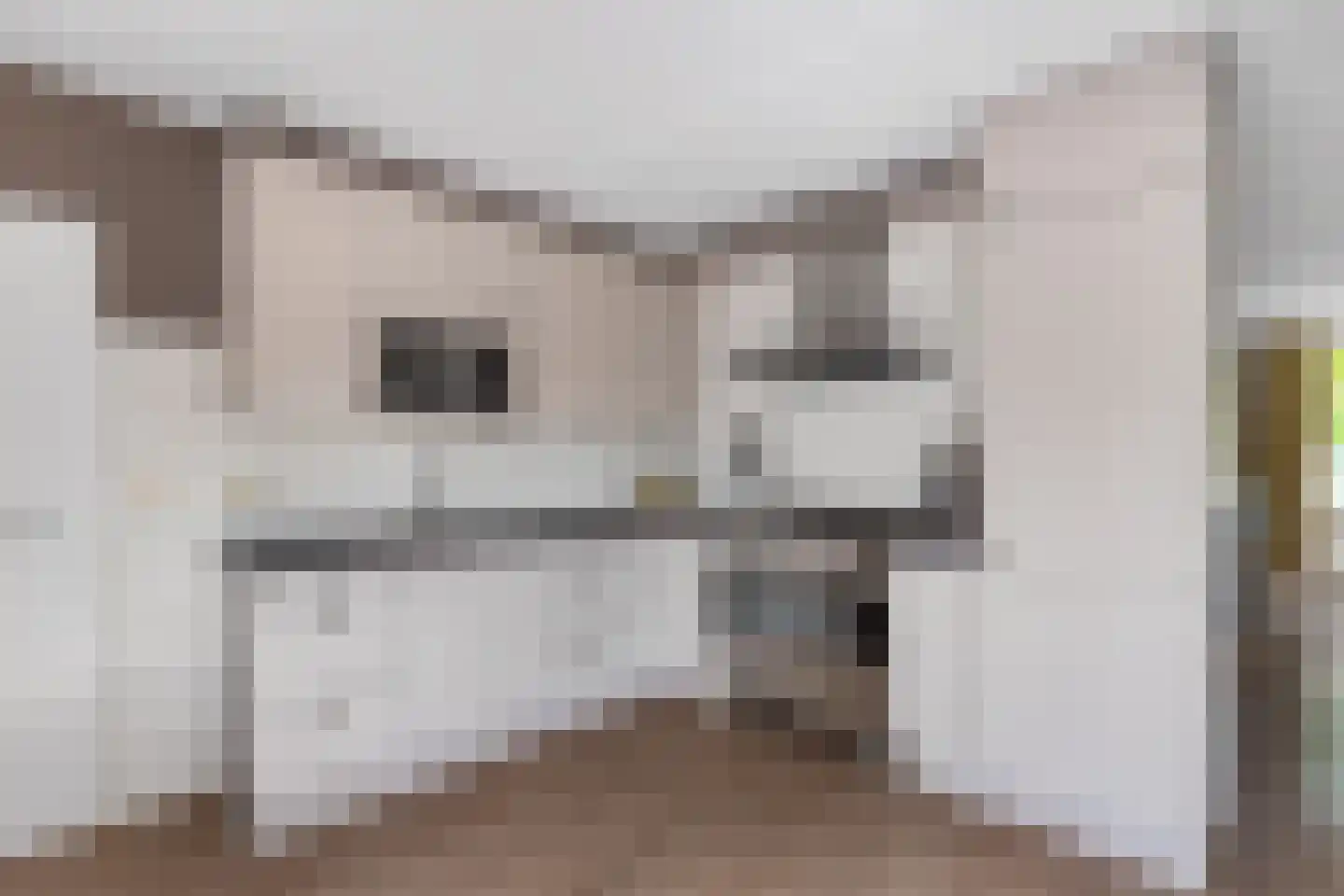 Pipegaal 5 Wommels thumbnail 21