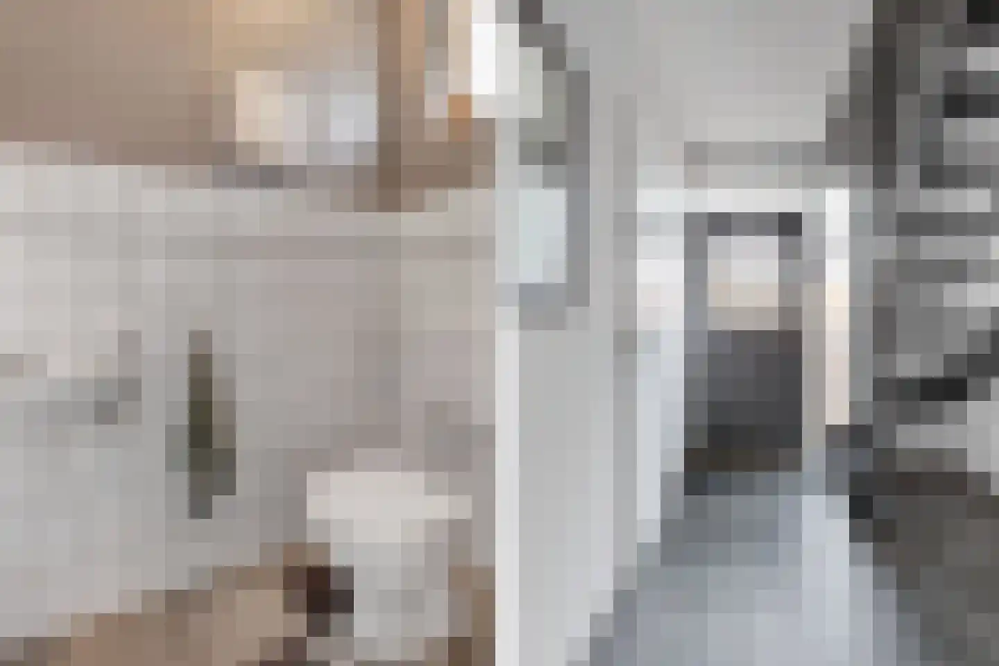 Pipegaal 5 Wommels thumbnail 24