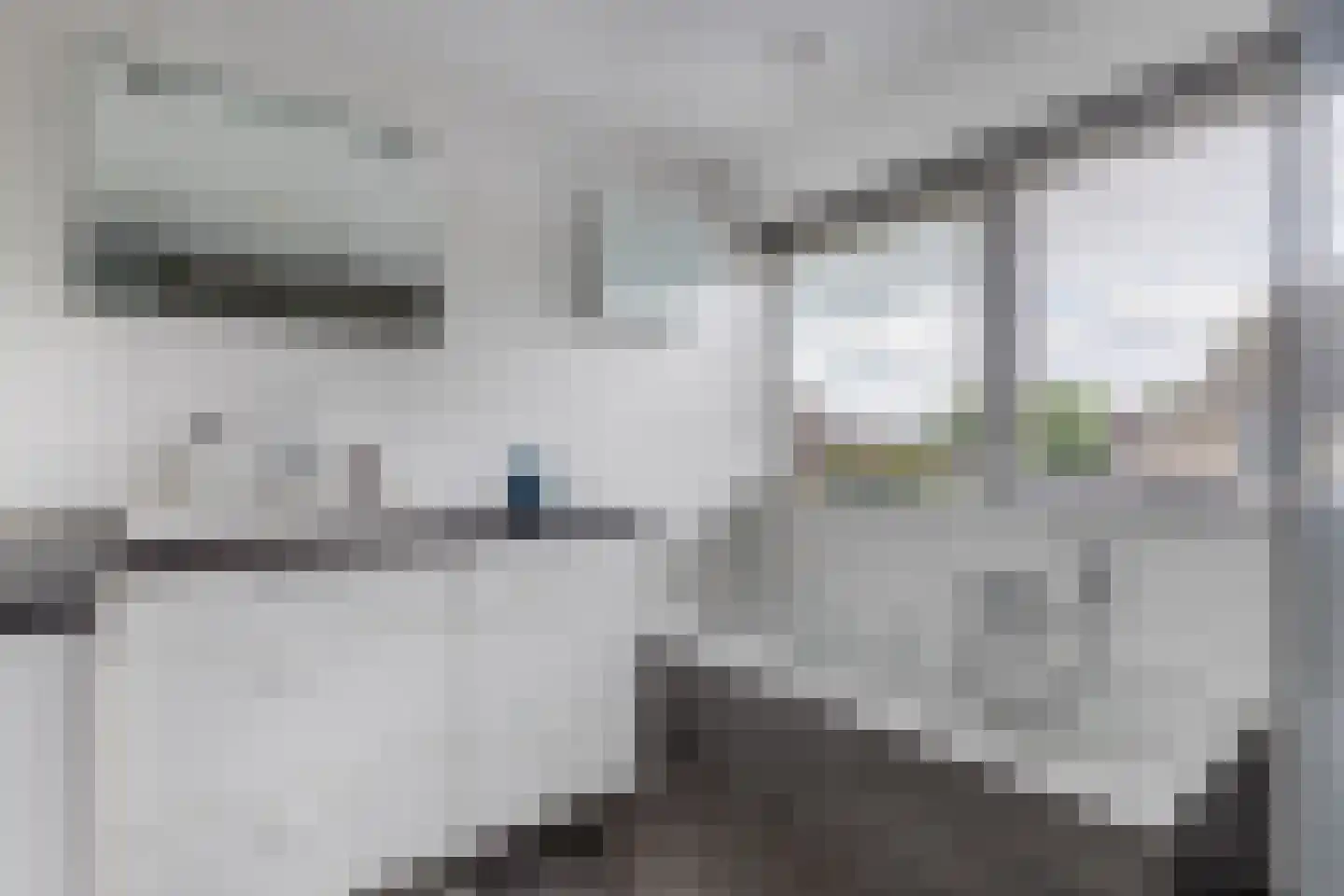 Pipegaal 5 Wommels thumbnail 34