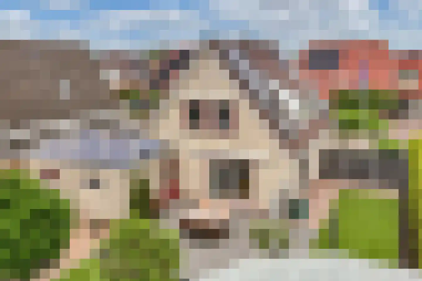 Pipegaal 5 Wommels thumbnail 40