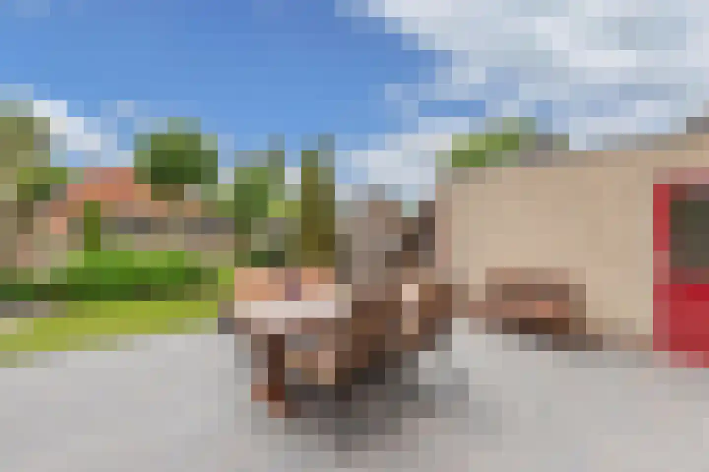 Pipegaal 5 Wommels thumbnail 42
