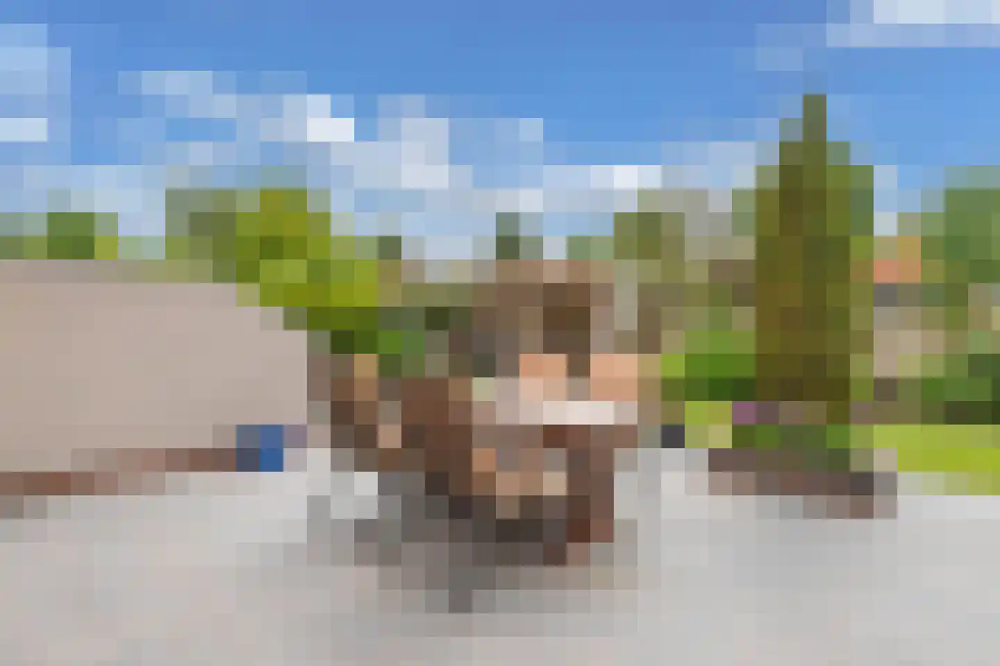 Pipegaal 5 Wommels thumbnail 43