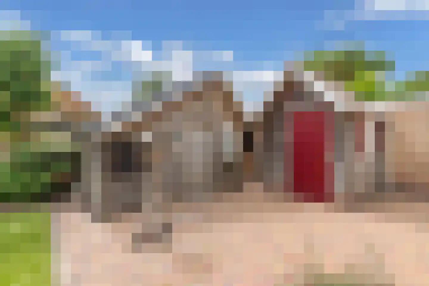 Pipegaal 5 Wommels thumbnail 45