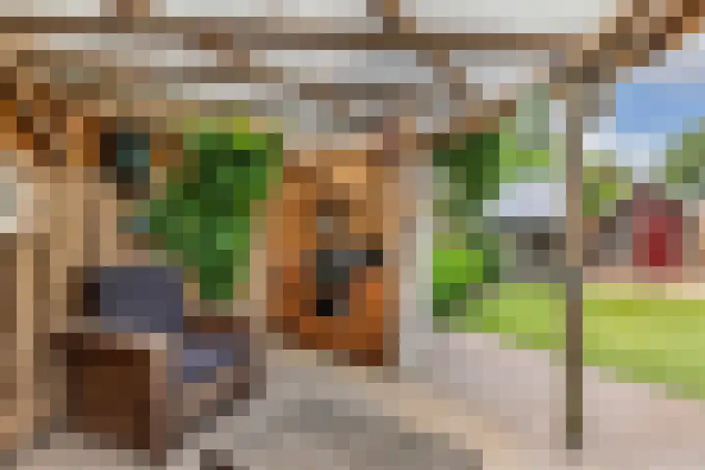 Pipegaal 5 Wommels thumbnail 46