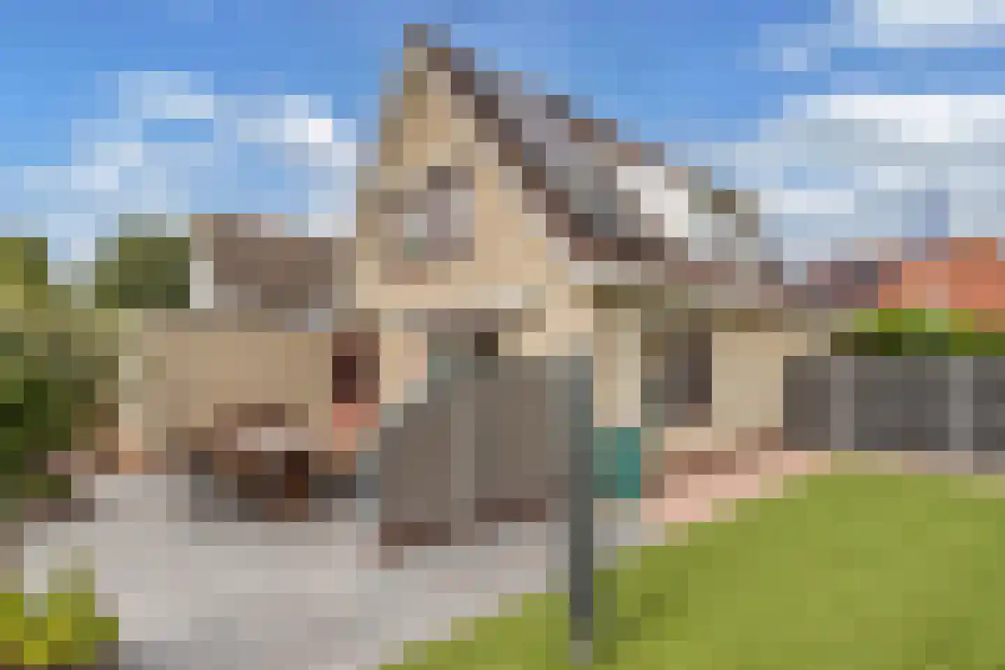 Pipegaal 5 Wommels thumbnail 47