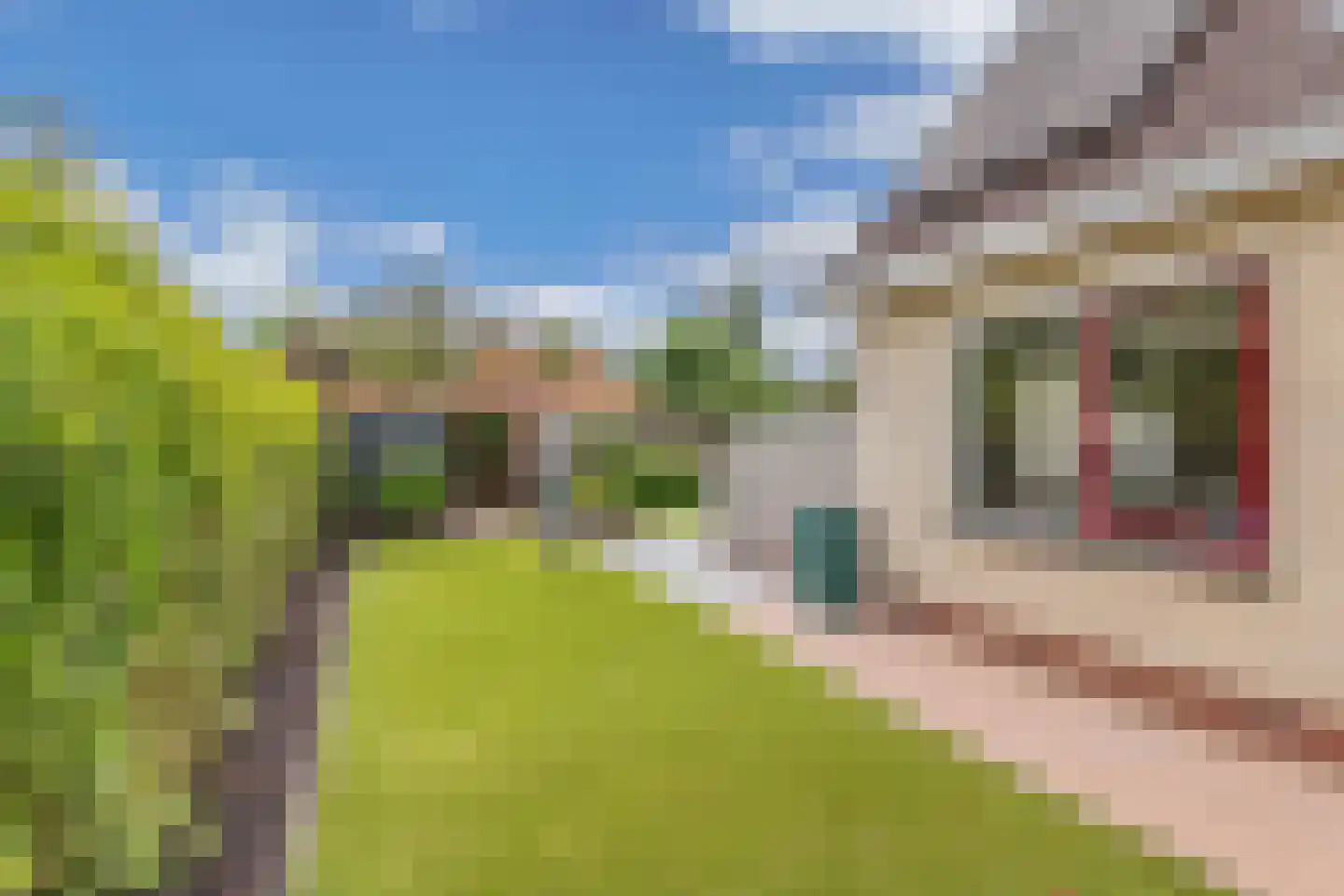 Pipegaal 5 Wommels thumbnail 48
