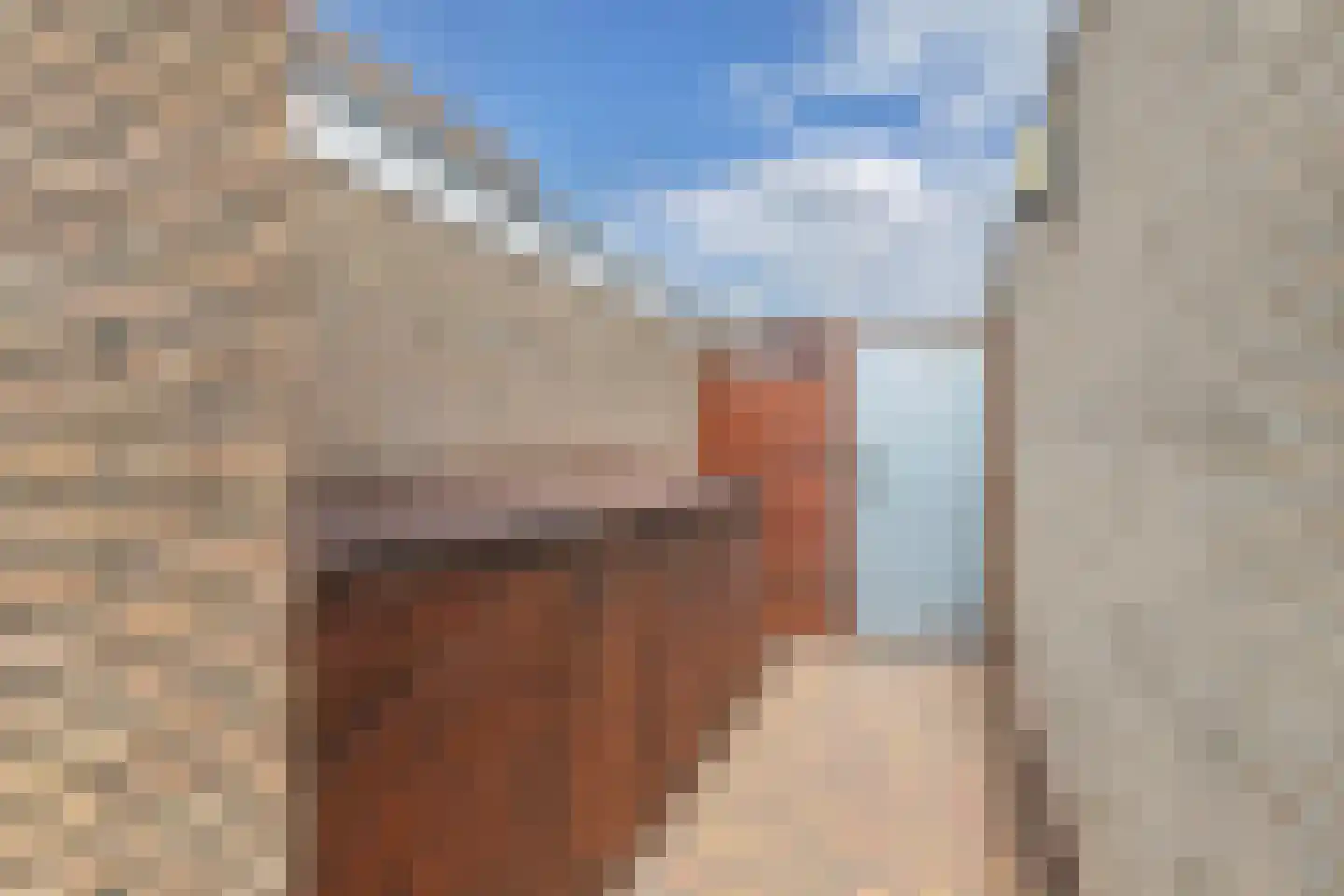 Pipegaal 5 Wommels thumbnail 49