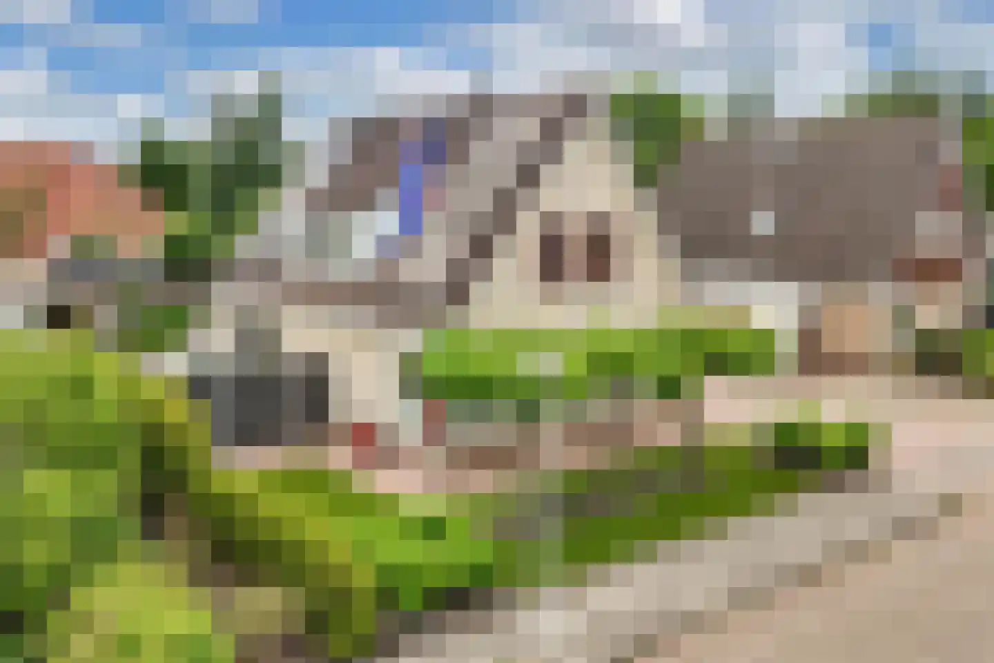 Pipegaal 5 Wommels thumbnail 5